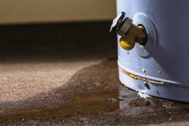 Water damage restoration insurance claims in Fern Acres, HI
