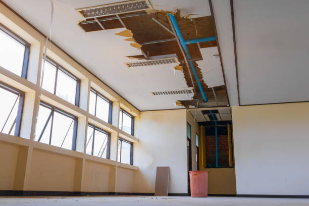 Best Ceiling water damage repair  in Fern Acres, HI