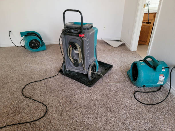 Carpet water damage restoration in Fern Acres, HI
