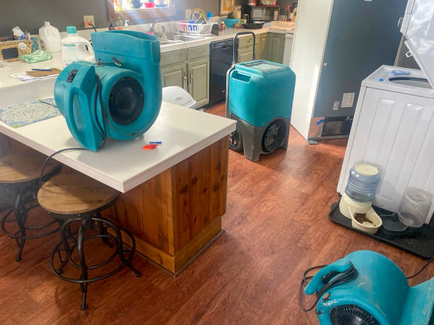 Best Flood damage cleanup  in Fern Acres, HI