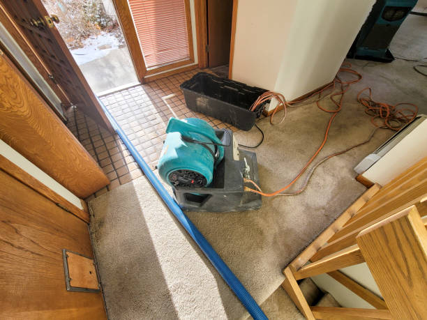 Trusted Fern Acres, HI Water damage restoration Experts