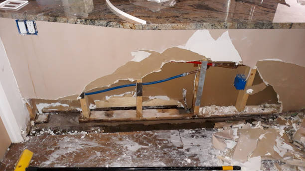 Best Water damage contractors near me  in Fern Acres, HI