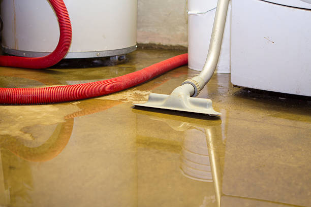Water damage restoration experts in Fern Acres, HI