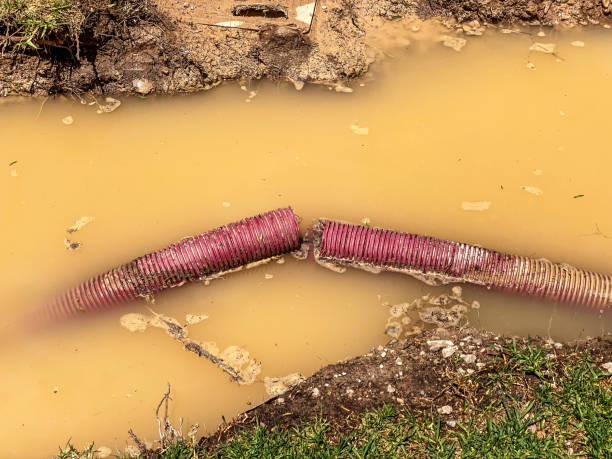 Best 24-hour water damage restoration  in Fern Acres, HI