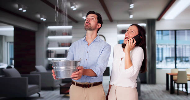 Best Basement water damage restoration  in Fern Acres, HI