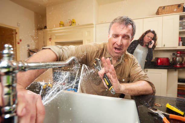 Best Water damage restoration near me  in Fern Acres, HI